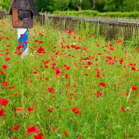 Σπίτι διακοπών Urlaubsbahnhof-schlafwagen *